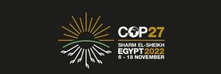 COP27