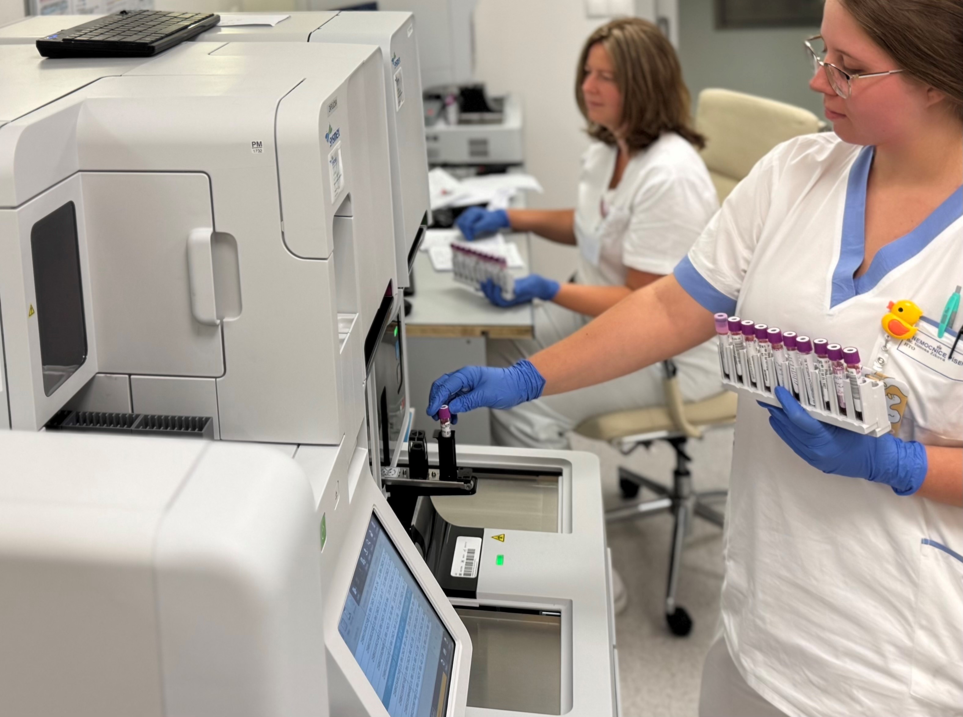 zpracování vzorků