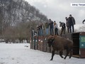 Ilustrační foto.