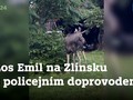 Ilustrační foto.
