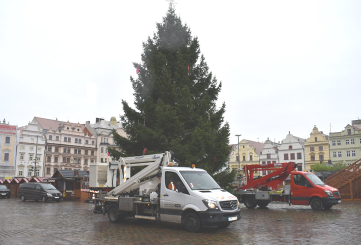 Leton vnon strom je z Diny (foto: M. Krausov)