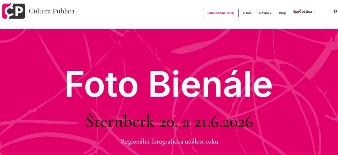 Foto Bienále obrázek 