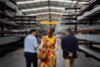 N�t�va regionu centr�ln�ho Portugalska s Invest Center - Ansiao