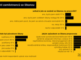 Infografika