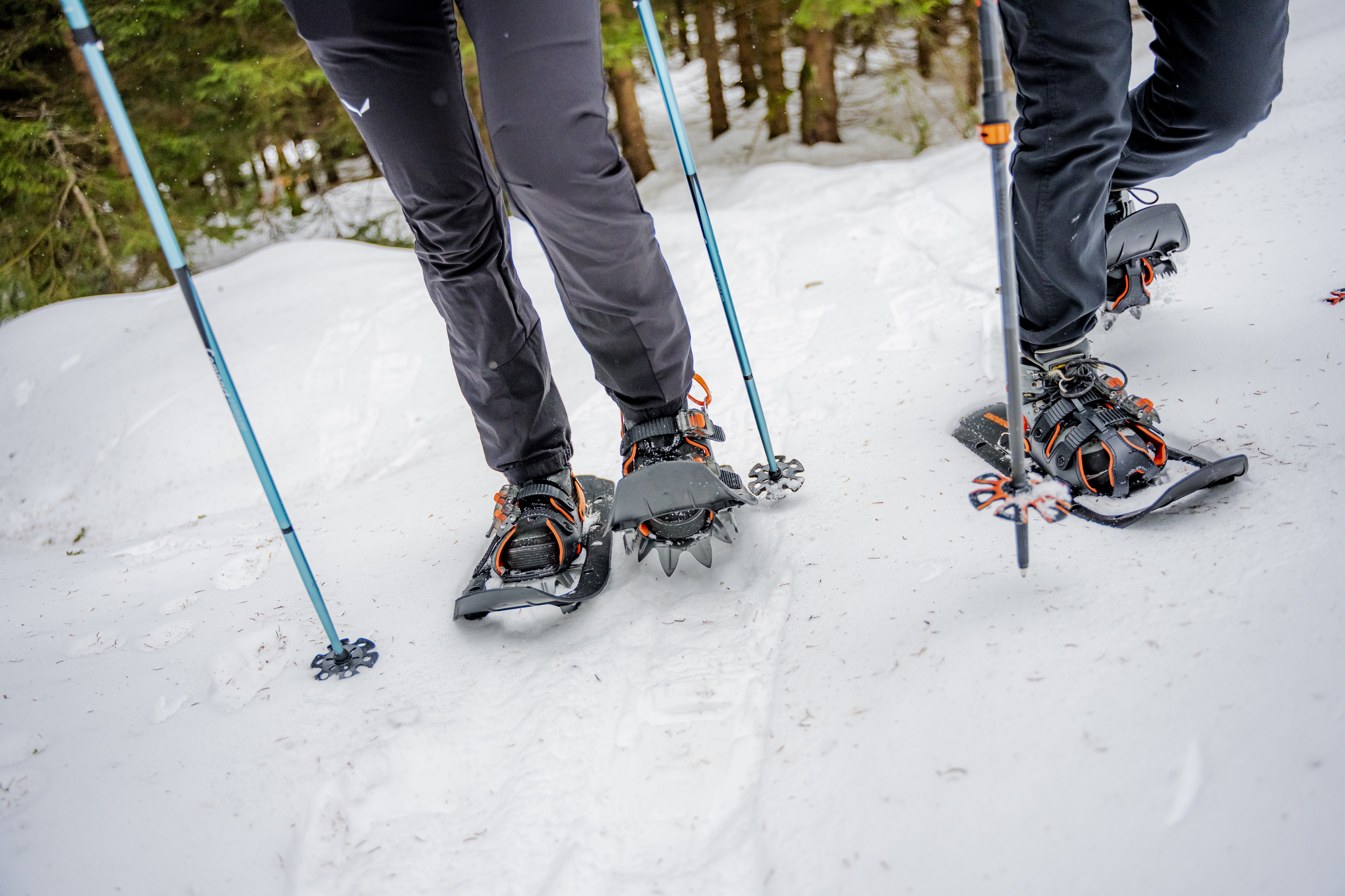 Trekové hole a nesmeky