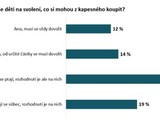 Ptina dt (19 %) se sama rozhoduje, za co kapesn utrat