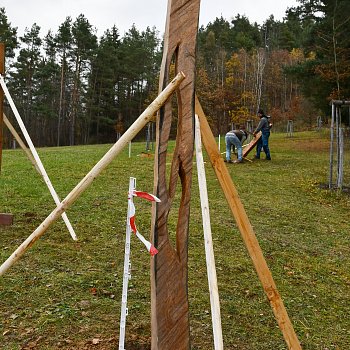 
                                Instalace devnch soch na Palav. FOTO: Michal Zboj
                                    