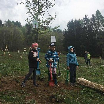 
                                Se szenm strom na Palav pomhaly dti z mateskch kol.. FOTO: Jana Tesaov
                                    