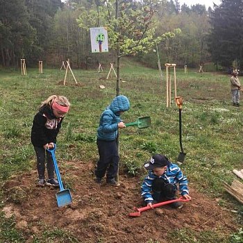 
                                Se szenm strom na Palav pomhaly dti z mateskch kol.. FOTO: Jana Tesaov
                                    