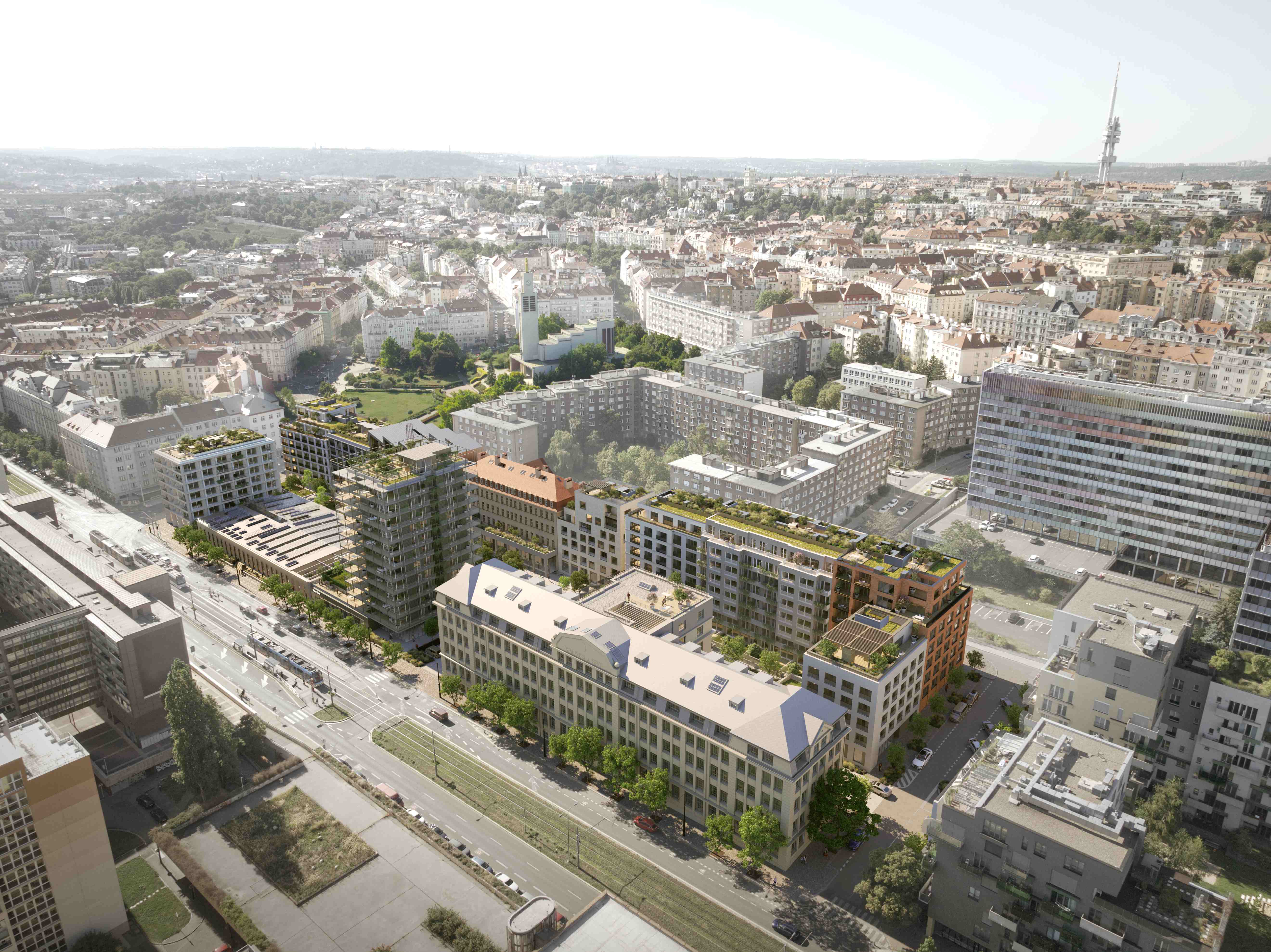 Koh-i-noor vizualizace