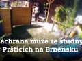 Ilustrační foto.