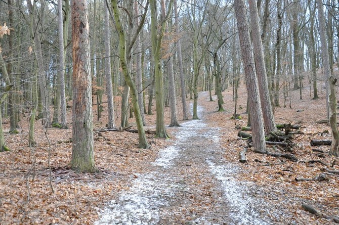 Zdroj fotografi: Sprva veejnho statku msta Plzn