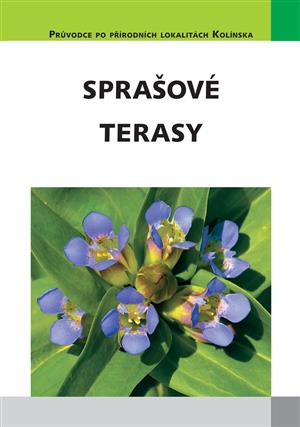 Spra�ov� terasy