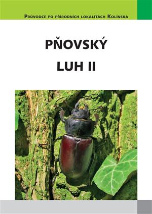P�ovsk� luh II