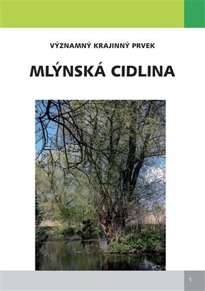 mlynska
