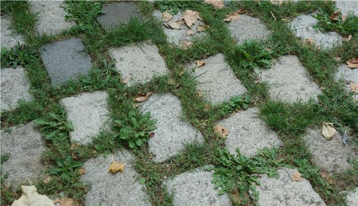 Dlažba s prorostlou spárou umožňující vsakování