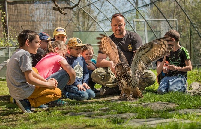 Zdroj fotografi: Zchrann stanice ivoich Plze