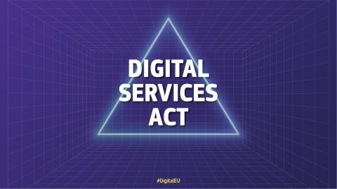 text Digital Services Act inside a white triangle against a blue background