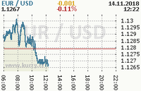 Online graf kurzu usd/eur