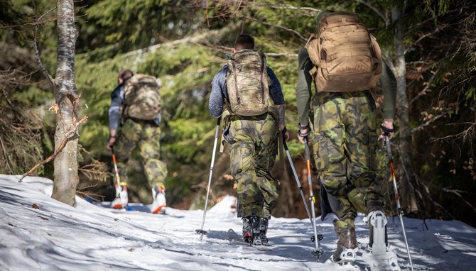 Pesun na skialpech v zalesnnm ternu