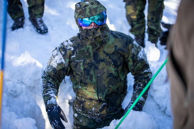 Simulovn lavinovho zvalu 