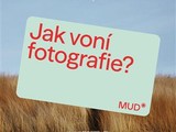 Ilustrační foto.