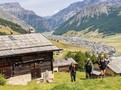 ilustra�n� trekking tee Livigno