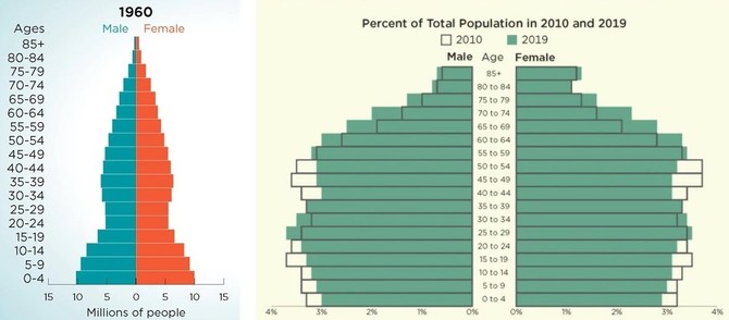 USA - demografie