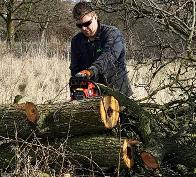 Jaký druh pily vybrat?