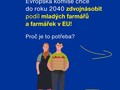 Ilustrační foto.