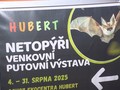 Ilustrační foto.