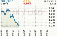 Online graf kurzu usd/eur