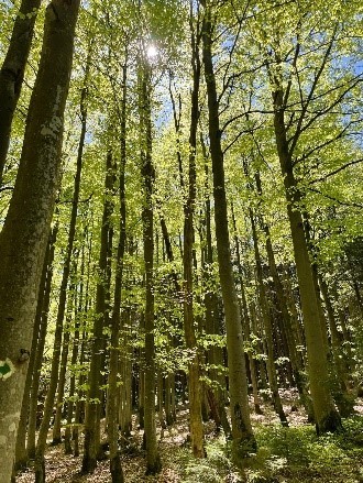 Via Czechia Ilustr. 38