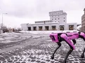 Ilustrační foto.