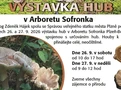 Ilustrační foto.