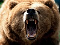 Bear market