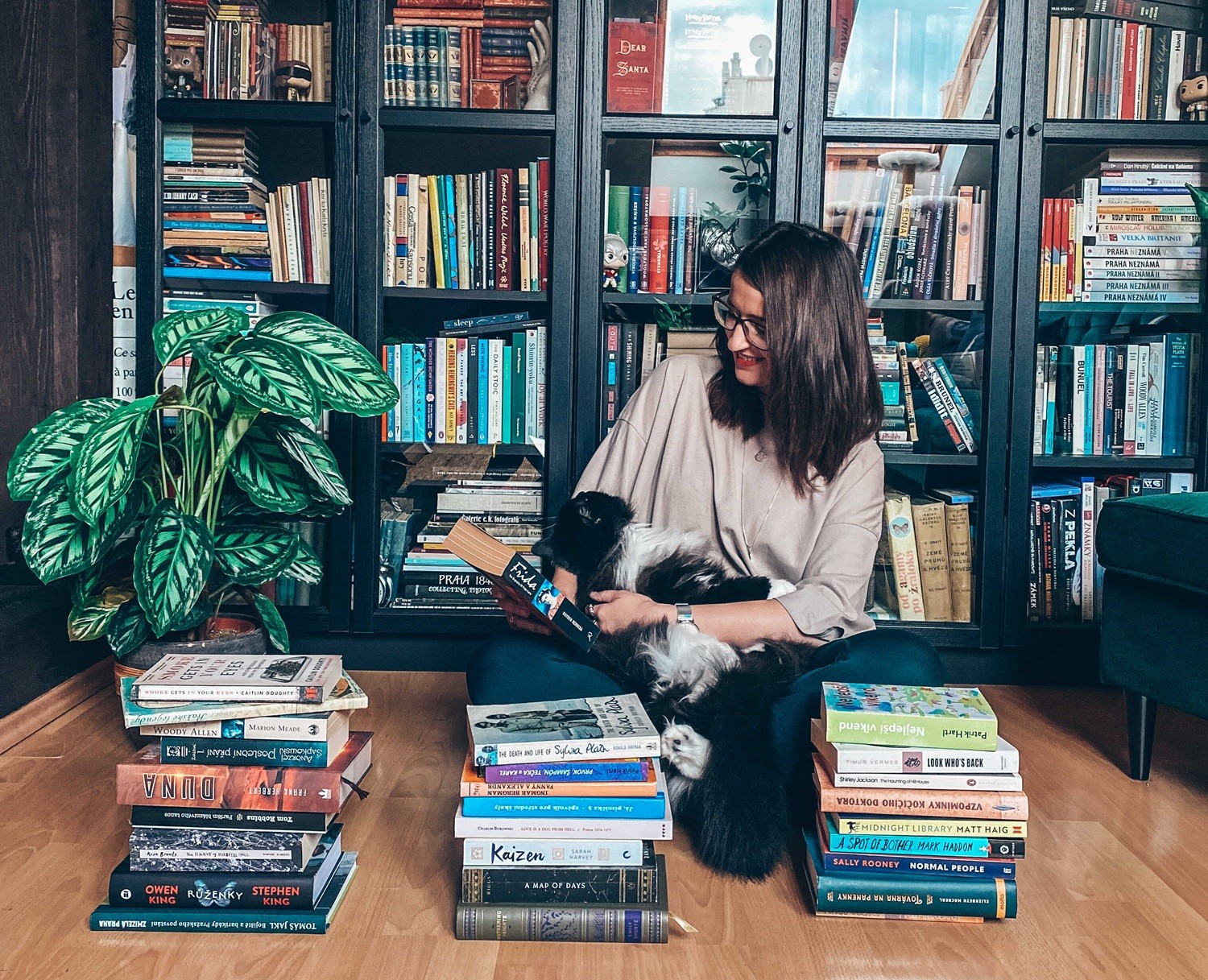 třídění knih ilustrační