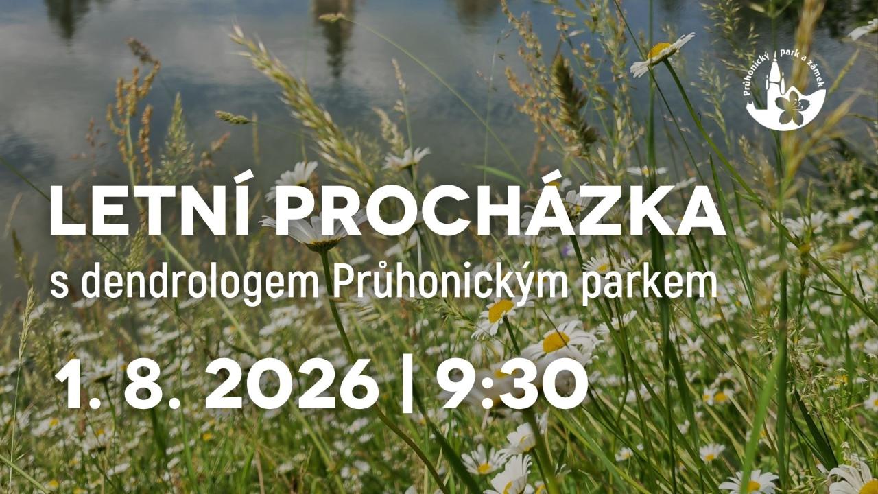 pozvánka