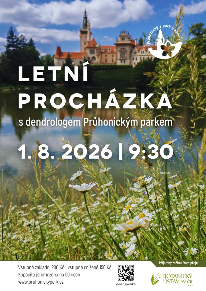 Pozvánka