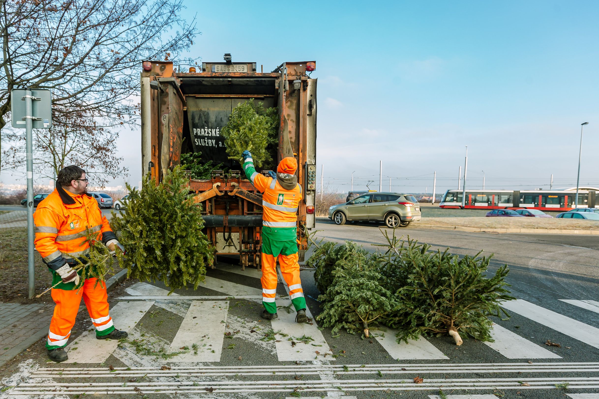 svoz vánočních stromků