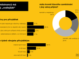 infografika přivýdělky