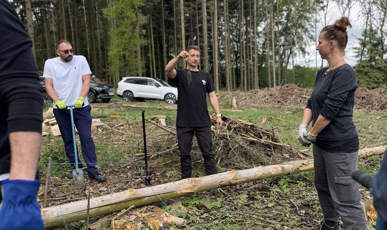 ilustrační foto