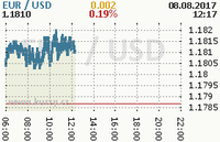 Online graf kurzu usd/eur