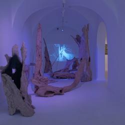 V Alšově jihočeské galerii byla zahájena výstava slovenského malíře Tomáše Žemly nazvaná Defragmentation.