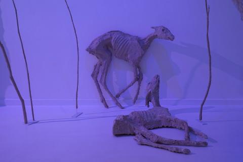 V Alšově jihočeské galerii byla zahájena výstava slovenského malíře Tomáše Žemly nazvaná Defragmentation.