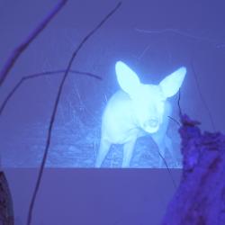 V Alšově jihočeské galerii byla zahájena výstava slovenského malíře Tomáše Žemly nazvaná Defragmentation.