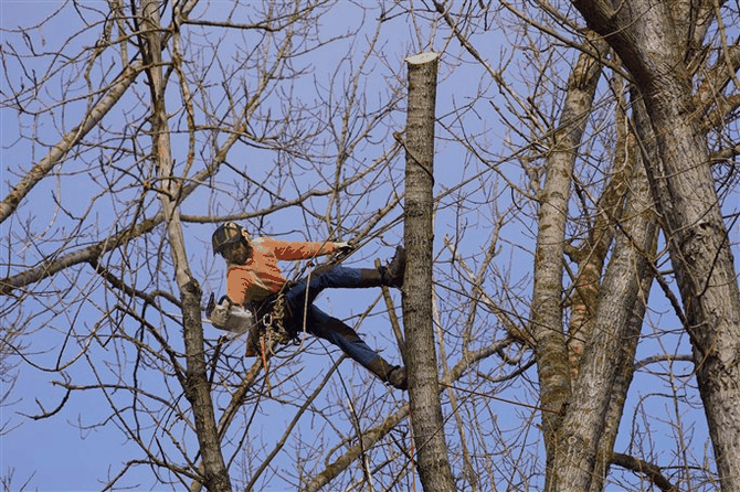 Na Krsn llouce probh zdravotn a bezpenostn ez strom