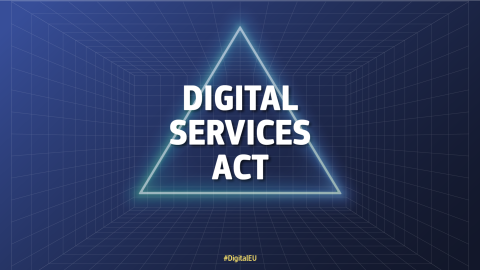 Commission designates Temu as Very Large Online Platform under the Digital Services Act