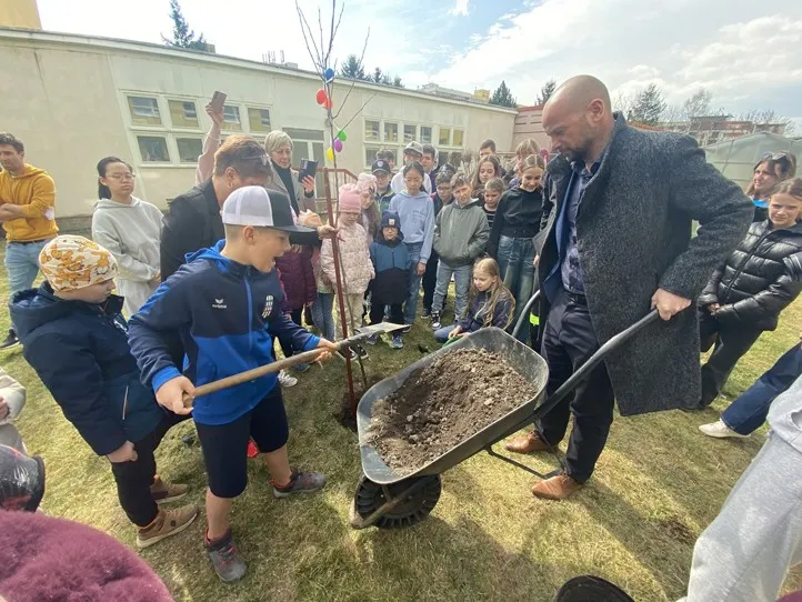 Zdroj fotografií: město Plzeň 260330_Sezeni_stromu_3