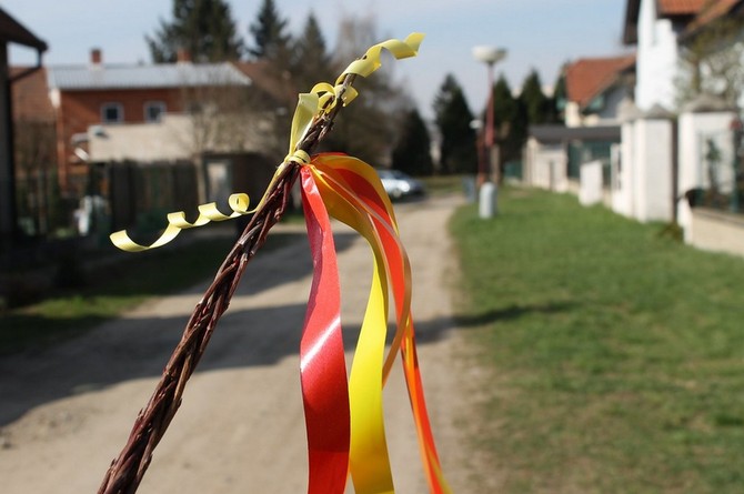 Nejvhodnější na pomlázku jsou proutky vrby bílé